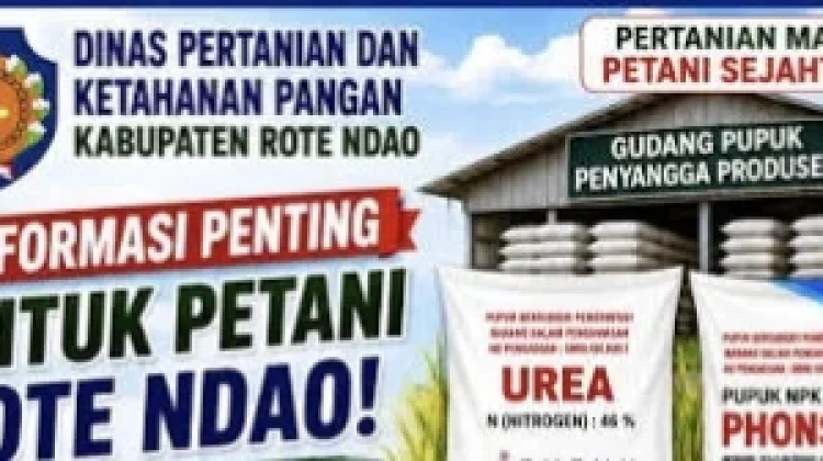 Dinas Pertanian Rote Ndao Pastikan Pupuk Bersubsidi Tersedia