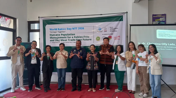 Sterilisasi Massal jadi strategi pengendalian populasi hewan Rabies di NTT