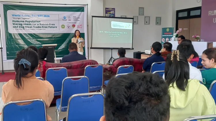 JAAN Domestic Dorong Pengendalian Populasi Hewan, Wujudkan NTT Bebas Rabies