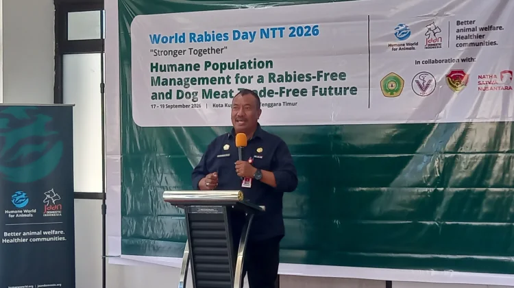 Vaksinasi Rabies di Kupang Capai 90 Persen, Pemkot Masih Hadapi Penolakan Warga