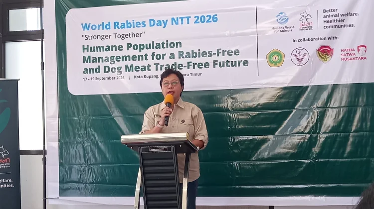 Kasus Rabies Menurun di NTT, UPTD Veteriner Tetap Siagakan Respons Cepat
