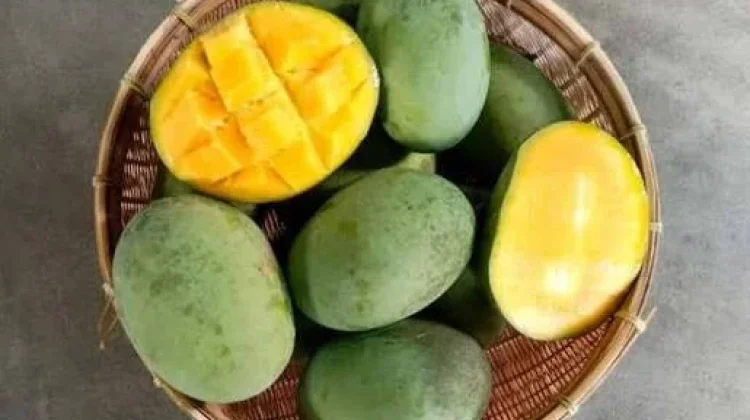 Empat Makanan Olahan Mangga yang Lezat dan Menarik