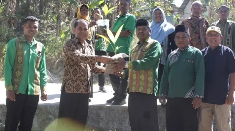 Madrasah Ibdtidaiya Negeri Tanam Tanaman Produktif Dilingkungan Sekolah