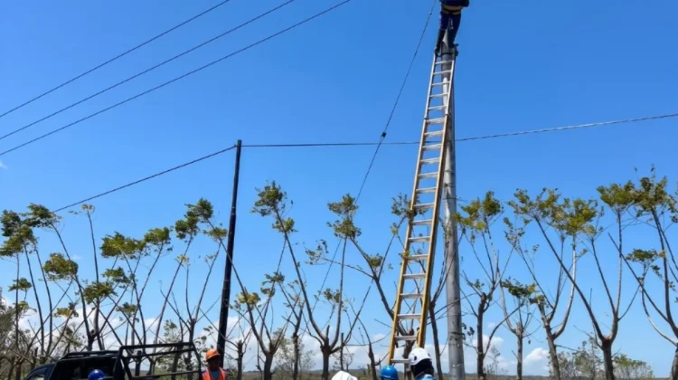 PLN Uji Jaringan 1,2 KM di Dusun V Laindeha, Listrik Warga Sumba Timur Segera Menyala
