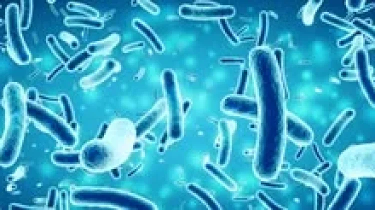 Kemarau Panjang, Pakar Kesehatan Jambi Minta Warga Waspadai Kualitas Air