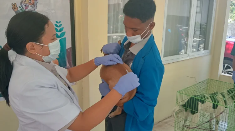 Sambut Hari Karantina, BKHIT NTT Gelar Aksi Donor Darah dan Vaksin Rabies