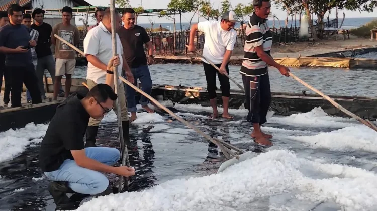 Wabup Sumba Timur Tinjau Tambak Garam, Dorong Ekonomi Masyarakat