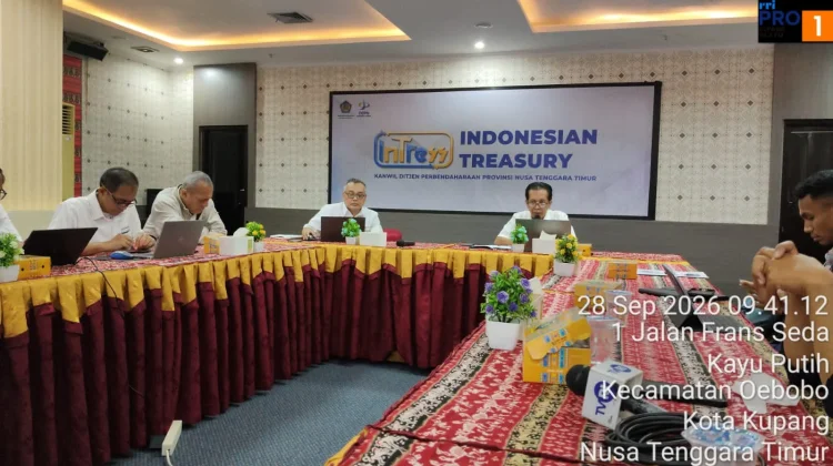 Kinerja Perpajakan NTT Tumbuh Positif hingga Agustus 2026