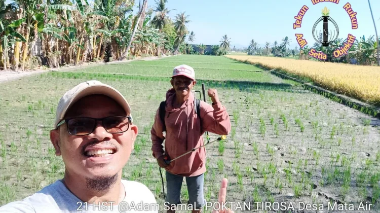 Ketersediaan Air Masih Mumpuni, Poktan TIROSA Optimistis Hadapi IP300