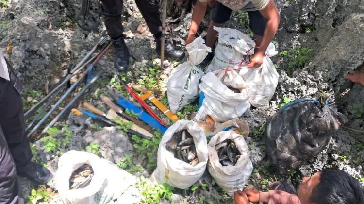 Penyidik Tangani Dugaan Penangkapan Ikan Gunakan Bahan Berbahaya