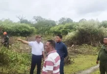 Bupati Rote Ndao Tinjau Lokasi Pembangunan Jobber