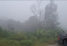 Sejumlah Wilayah di NTT Berpotensi Hujan saat Imlek
