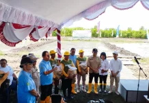 Kabupaten Kupang Dipacu Tembus 100 Ribu Ton Gabah