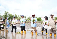 Pemerintah NTT Gelar GERTAM menuju Swasembada Pangan