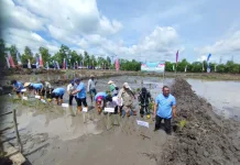 Oemboe Wanda: Dukungan Pemerintah Pusat Terus Mengalir ke NTT