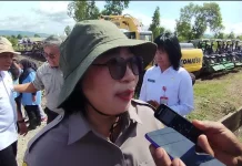 Balai Besar BRMP NTT Kembangkan Teknologi Budidaya Padi