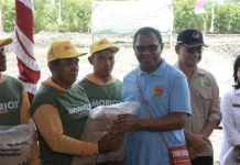 Wagub Dorong Sorgum Jagung Substitusi Beras NTT
