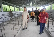 Bupati Kupang Dorong Operasional UPT Pembibitan Babi