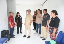 UPT Pembibitan Babi Siap Tingkatkan Kualitas Ternak Lokal