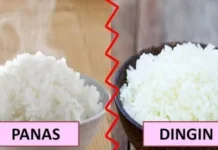 Perbedaan Nasi Dingin dan Panas pada penderita Diabetes