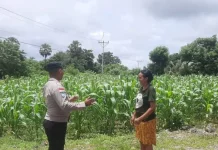 Bhabinkamtibmas Semau Dorong Warga Tingkatkan Ketahanan Pangan