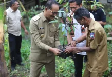 Pemkab Sumba Tengah Tanam Kopi Bersama Gapoktan