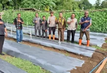 DPRD TTS Pantau Program Pekarangan Pangan Bergizi Kualin.
