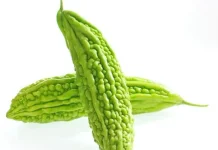 Manfaat Sayur Pare Untuk Kesehatan