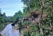 Babinsa Walakaka Gotong Royong Bersihkan Material Longsor