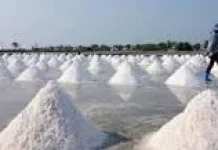 KKP Gandeng Swasta Kembangkan Garam Rote Ndao