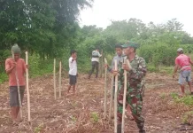 Babinsa Walakaka Gotong Royong Bersihkan Material Longsor