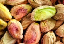 Mengenal Pistachio, Kacang Hijau Kaya Manfaat