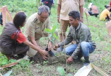 Kopi Robusta Dorong Transformasi Pertanian Umbu Ratu