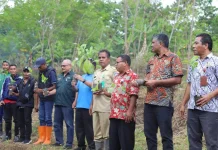 Gerakan Tanam Kopi Ubah Pola Tani Warga