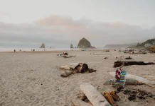 Pemda Rote Ndao Tangani Abrasi Pantai Namodale