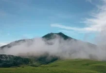 Pengelolaan TN Mutis Sejalan Norma Adat dan Budaya