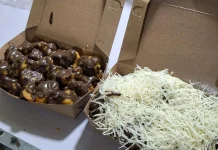 Bananacuuuyy, Inovasi Pisang Jadi Dessert Kekinian