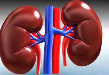 Kanker Ginjal, Penyakit Serius yang Dialami Vidi Aldiano