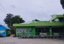 Awal 2026, Kasus DBD di Wilayah Tarus Nihil