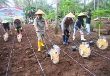 Pemkab Kupang Dukung Polisi dalam Pengembangan Tanaman Jagung