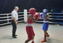 Pengrov Pertina  NTT Target Juara Umum PON XXII  2028