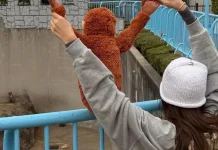 Lisa BLACKPINK Kunjungi Monyet Viral