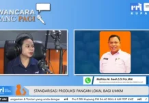 Standarisasi Pangan Lokal Dorong Daya Saing UMKM NTT