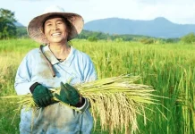 Perempuan Berperan Penting dalam Pengelolaan Air dan Pertanian