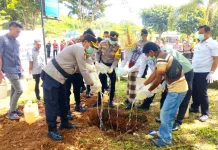 Polres Rote Ndao Tegaskan Komitmen, 550 Liter Sopi Hasil KRYD Dimusnahkan