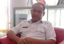 Sumba Timur Optimis Produksi Padi 2026 Tembus 70 Ribu Ton