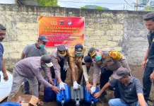 Polres Ende Musnahkan Ribuan Liter Miras Lokal Ilegal
