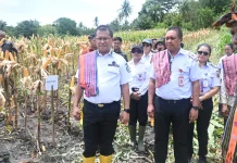 Dana Desa Dorong Ketahanan Pangan Melalui Pertanian Jagung