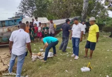 Temuan Tengkorak di Pesisir Pantai Nunsui Oesapa
