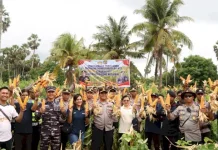 Panen Raya Jagung, Dukungan Nyata Program Asta Cita